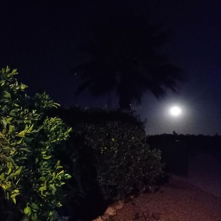 La Buganvilla, Descanso Entre Olivares Hornachuelos Exteriör bild