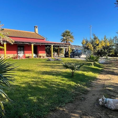 La Buganvilla, Descanso Entre Olivares Hornachuelos Exteriör bild