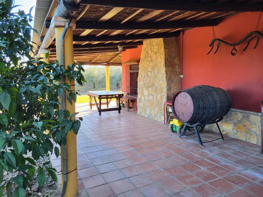 La Buganvilla, Descanso Entre Olivares Hornachuelos Exteriör bild