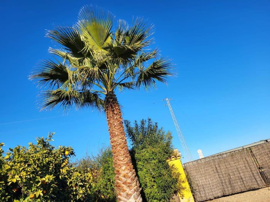 La Buganvilla, Descanso Entre Olivares Hornachuelos Exteriör bild