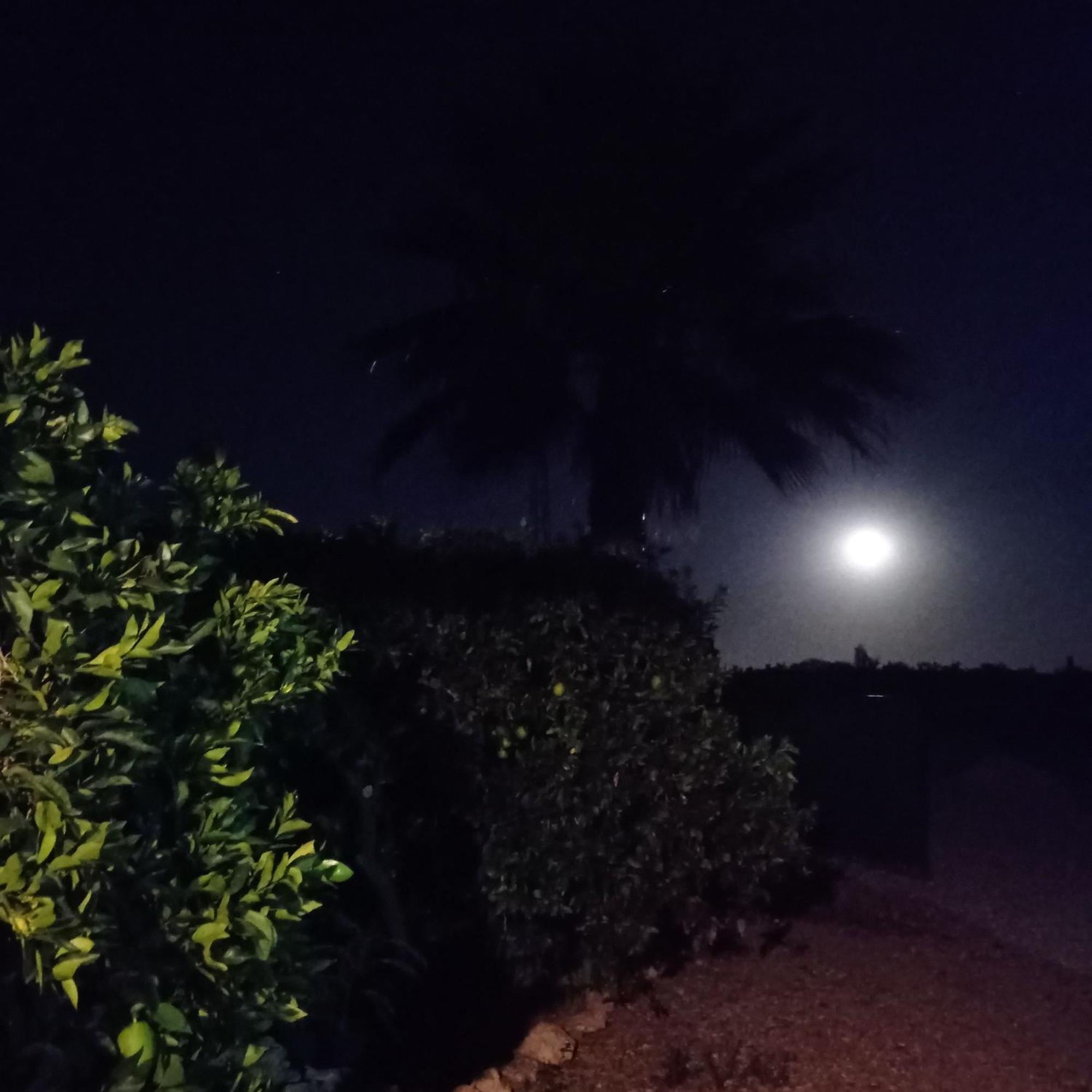 La Buganvilla, Descanso Entre Olivares Hornachuelos Exteriör bild