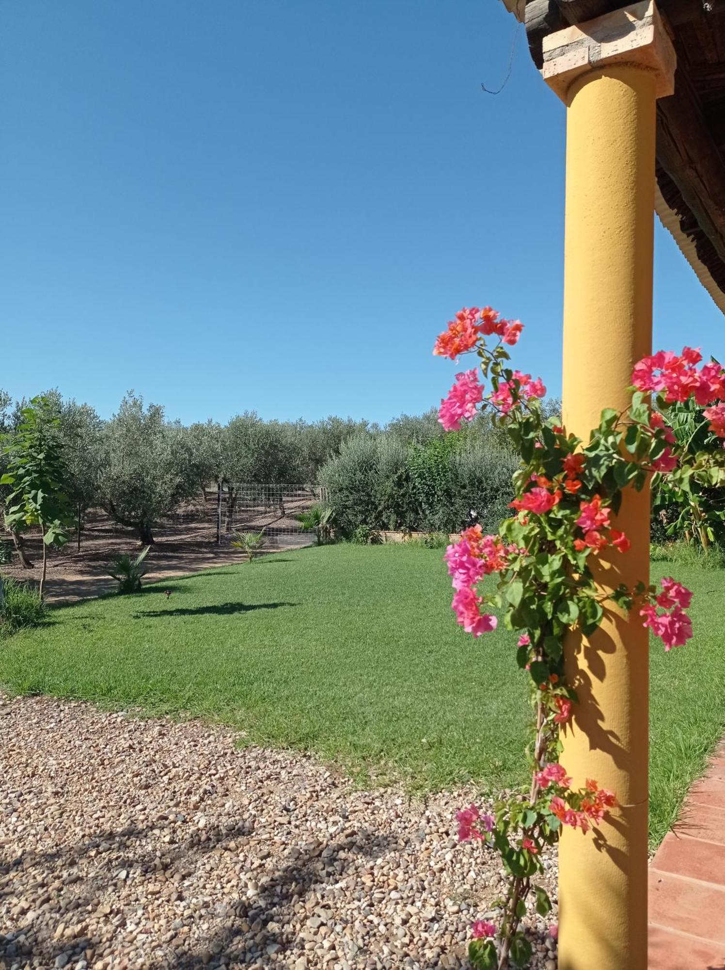 La Buganvilla, Descanso Entre Olivares Hornachuelos Exteriör bild