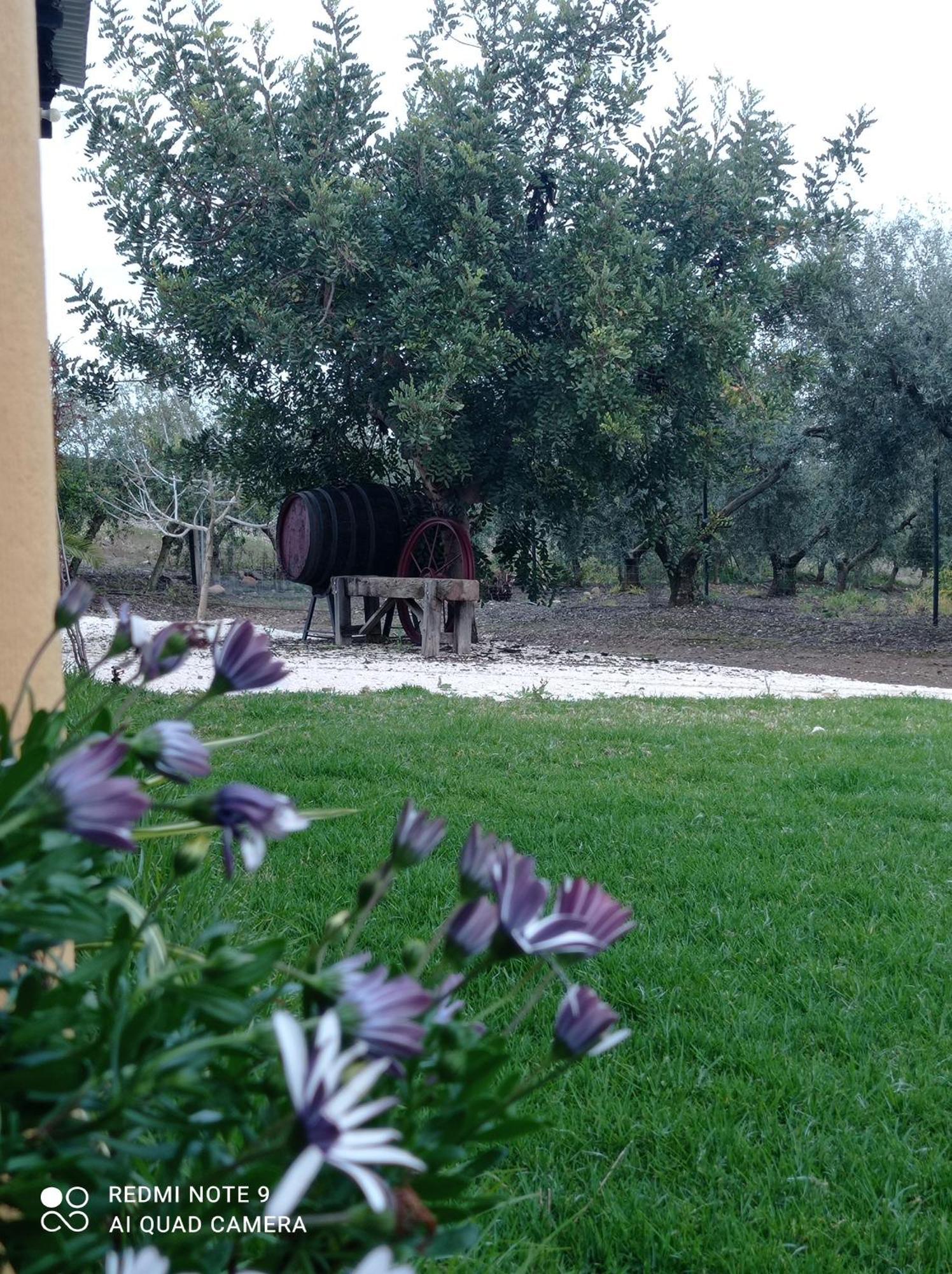 La Buganvilla, Descanso Entre Olivares Hornachuelos Exteriör bild