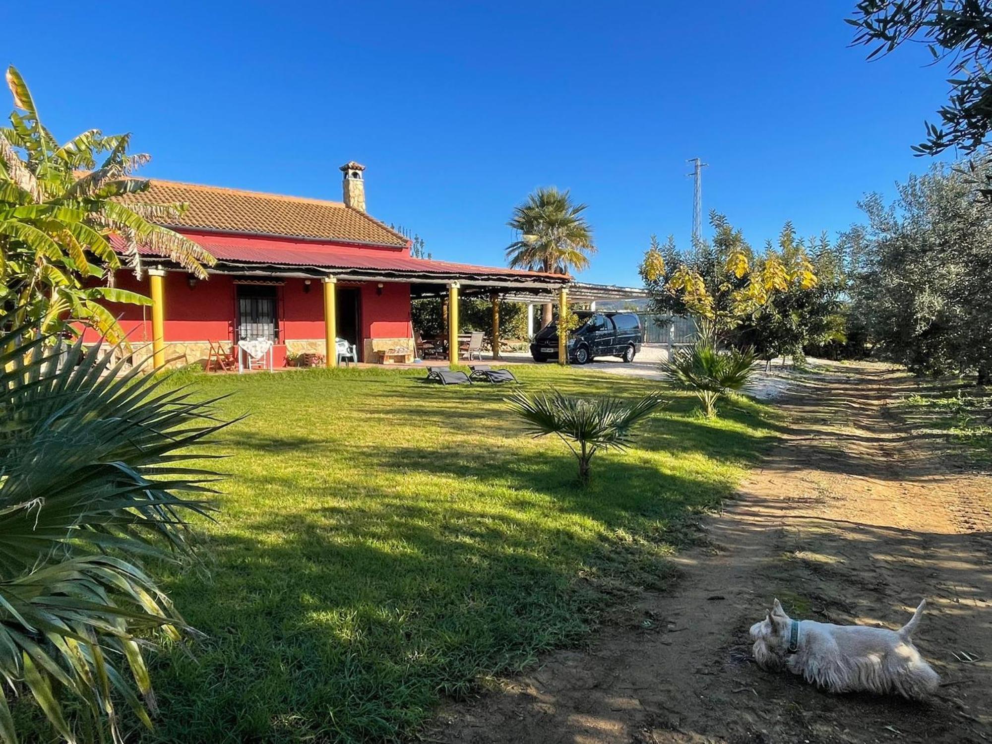 La Buganvilla, Descanso Entre Olivares Hornachuelos Exteriör bild